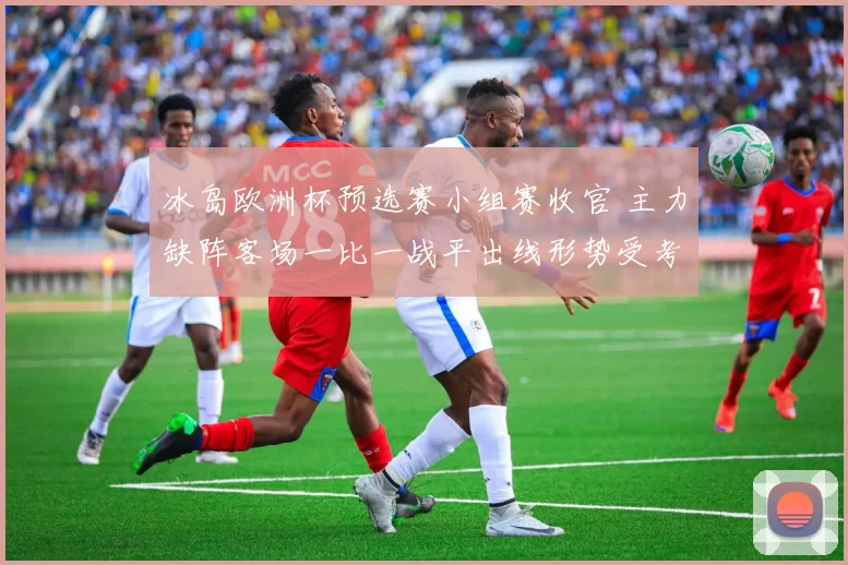 冰岛欧洲杯预选赛小组赛收官 主力缺阵客场一比一战平出线形势受考验