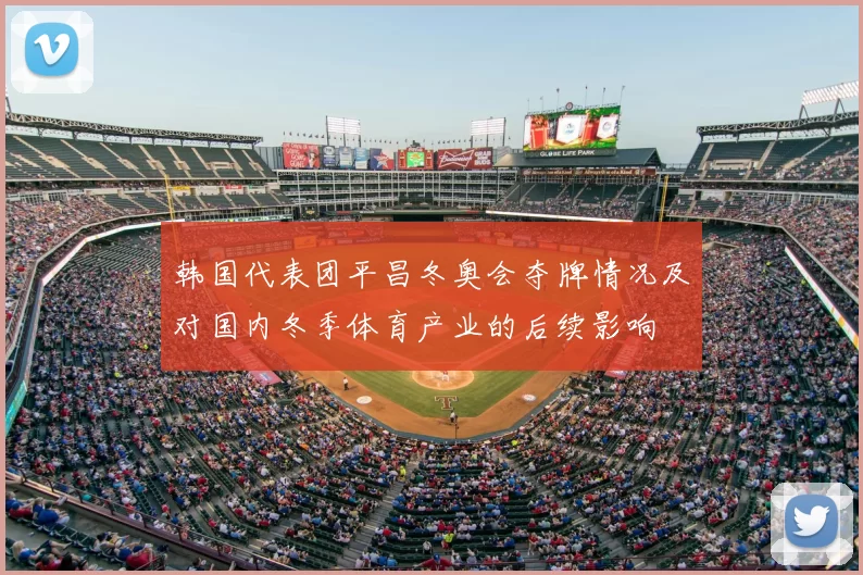 韩国代表团平昌冬奥会夺牌情况及对国内冬季体育产业的后续影响