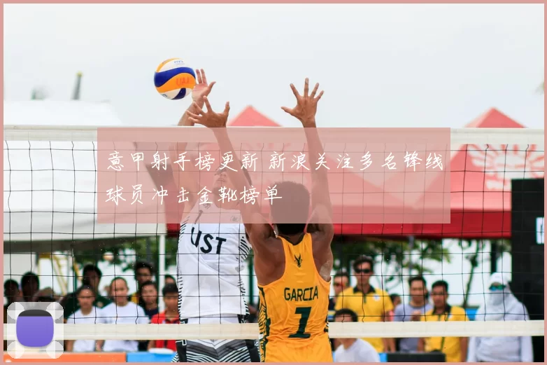 意甲射手榜更新 新浪关注多名锋线球员冲击金靴榜单