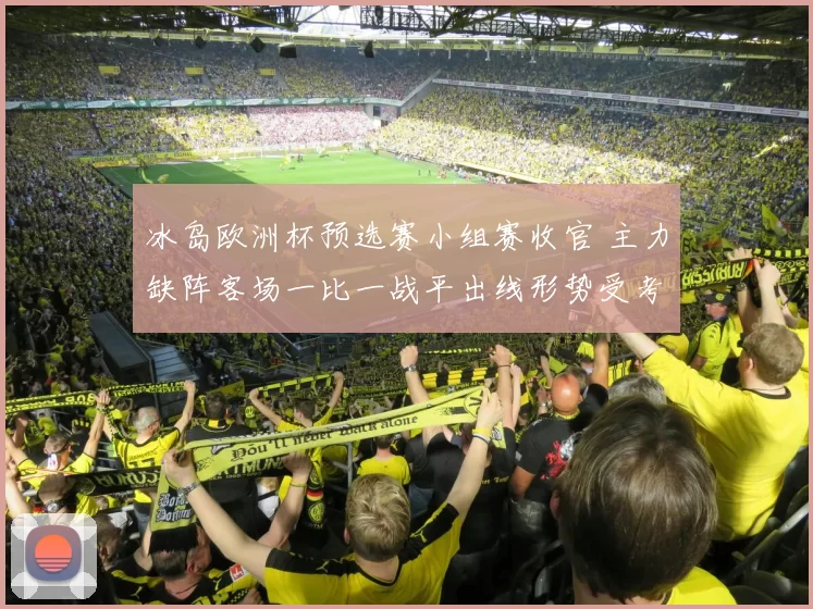 冰岛欧洲杯预选赛小组赛收官 主力缺阵客场一比一战平出线形势受考验